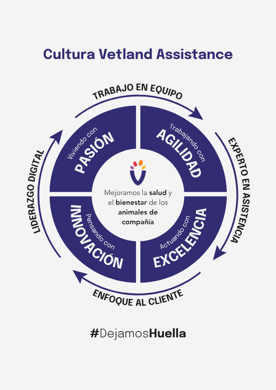 Cultura Vetland Assistance